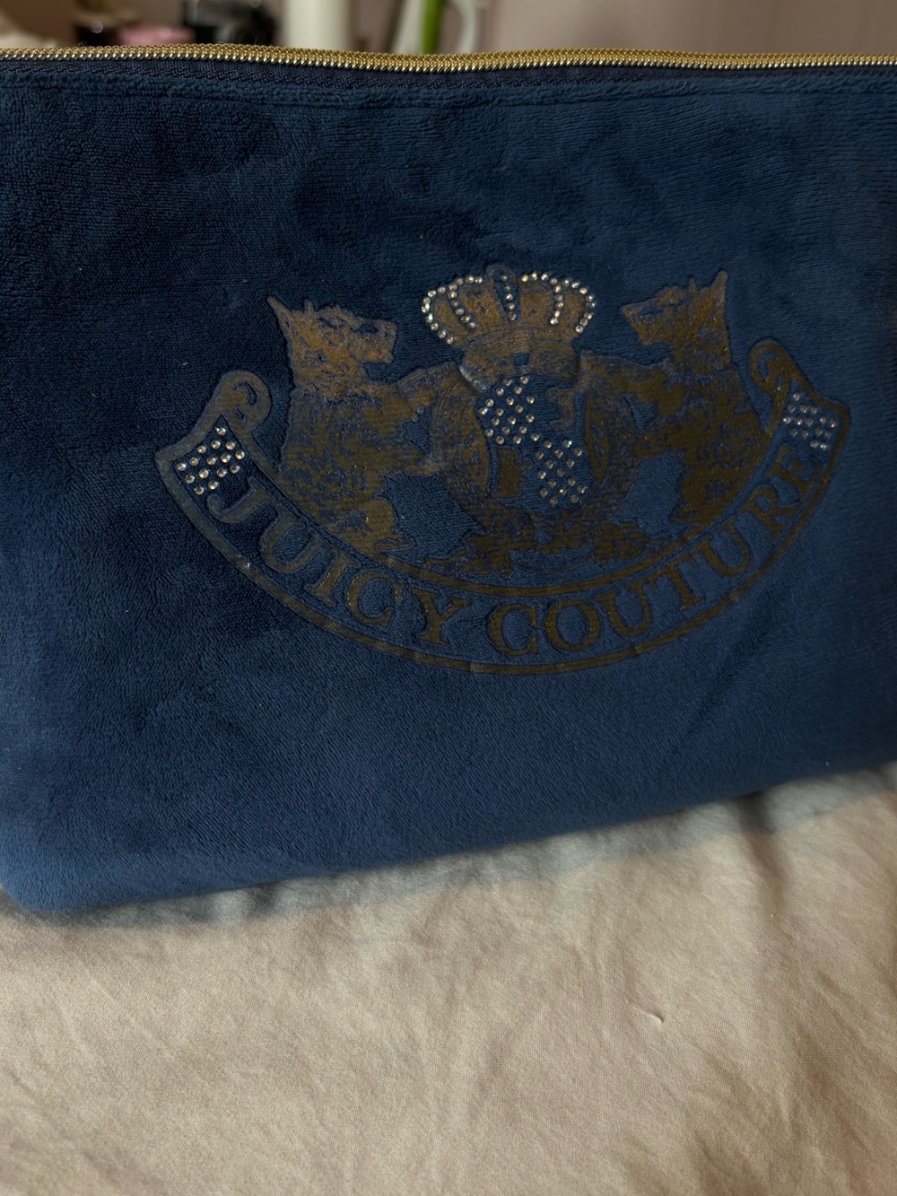 Juicy Couture Blue Velvet Makeup Bag with Pink Lining